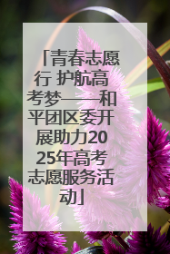 青春志愿行 护航高考梦——和平团区委开展助力2025年高考志愿服务活动