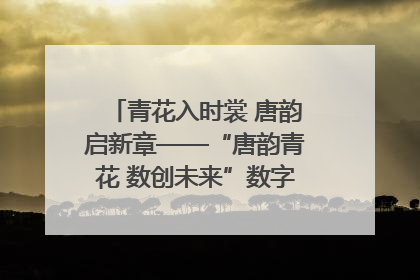 青花入时裳 唐韵启新章——“唐韵青花 数创未来”数字文创设计大赛启幕