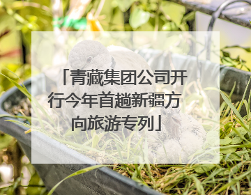 青藏集团公司开行今年首趟新疆方向旅游专列