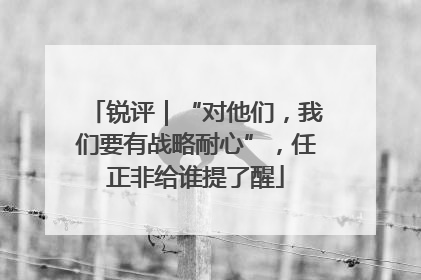 锐评｜“对他们，我们要有战略耐心”，任正非给谁提了醒