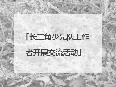 长三角少先队工作者开展交流活动