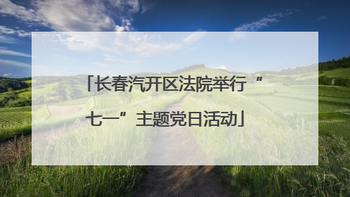 长春汽开区法院举行“七一”主题党日活动
