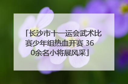 长沙市十一运会武术比赛少年组热血开赛 360余名小将展风采