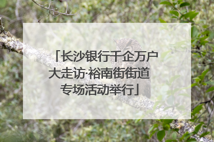 长沙银行千企万户大走访·裕南街街道专场活动举行