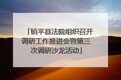 镇平县法院组织召开调研工作推进会暨第三次调研沙龙活动