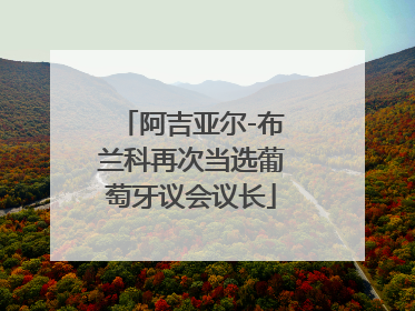 阿吉亚尔-布兰科再次当选葡萄牙议会议长