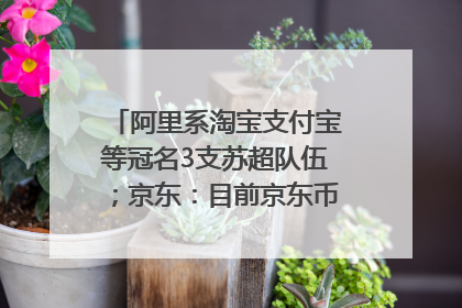 阿里系淘宝支付宝等冠名3支苏超队伍；京东：目前京东币链科技并没有开始发行稳定币｜早资道