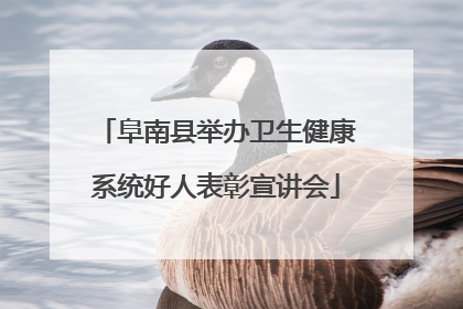 阜南县举办卫生健康系统好人表彰宣讲会