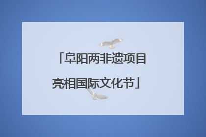 阜阳两非遗项目亮相国际文化节