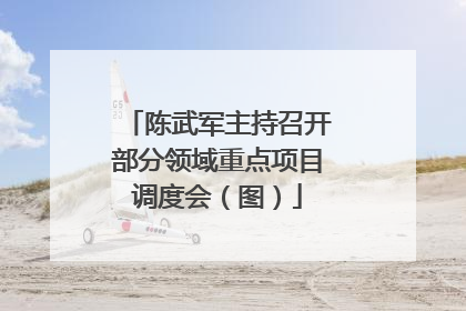 陈武军主持召开部分领域重点项目调度会（图）