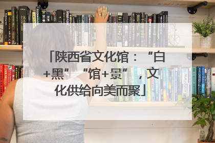 陕西省文化馆：“白+黑”“馆+景”，文化供给向美而聚