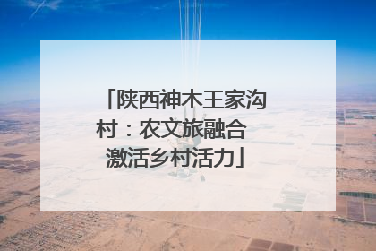 陕西神木王家沟村：农文旅融合 激活乡村活力