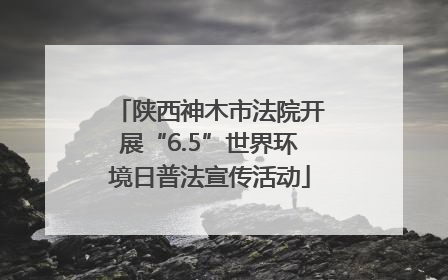 陕西神木市法院开展“6.5”世界环境日普法宣传活动
