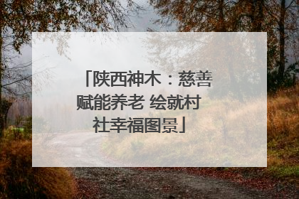 陕西神木：慈善赋能养老 绘就村社幸福图景