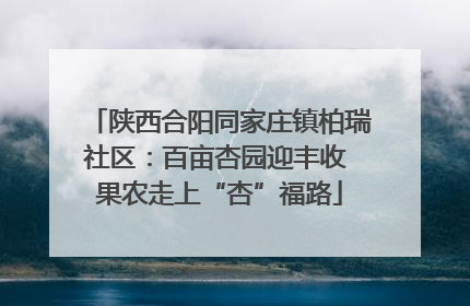 陕西合阳同家庄镇柏瑞社区：百亩杏园迎丰收 果农走上“杏”福路