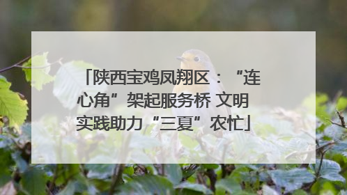 陕西宝鸡凤翔区：“连心角”架起服务桥 文明实践助力“三夏”农忙