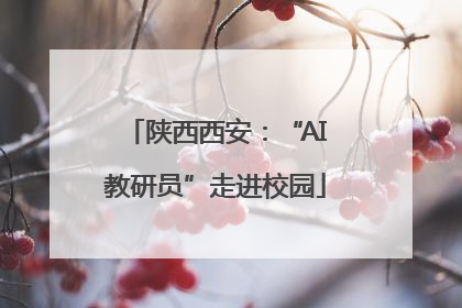 陕西西安：“AI教研员”走进校园