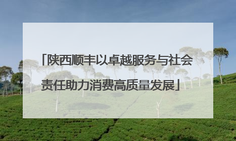 陕西顺丰以卓越服务与社会责任助力消费高质量发展