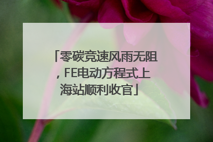 零碳竞速风雨无阻，FE电动方程式上海站顺利收官