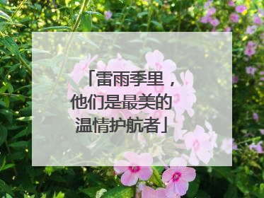 雷雨季里，他们是最美的温情护航者