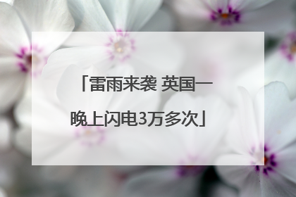 雷雨来袭 英国一晚上闪电3万多次