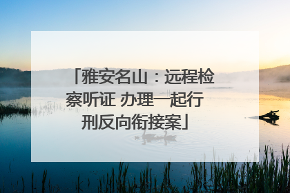 雅安名山：远程检察听证 办理一起行刑反向衔接案
