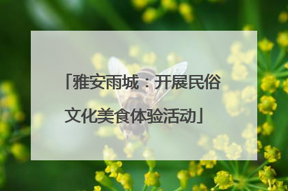 雅安雨城：开展民俗文化美食体验活动