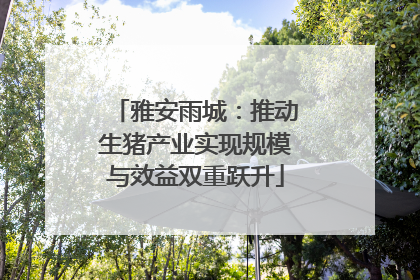 雅安雨城：推动生猪产业实现规模与效益双重跃升