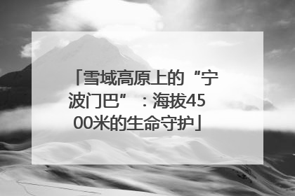 雪域高原上的“宁波门巴”：海拔4500米的生命守护