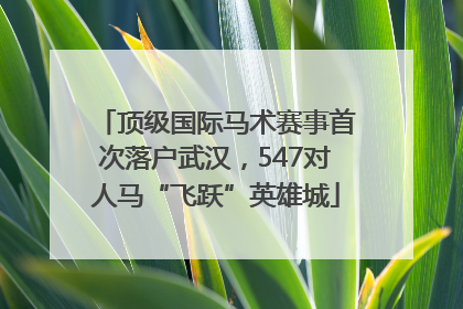顶级国际马术赛事首次落户武汉，547对人马“飞跃”英雄城