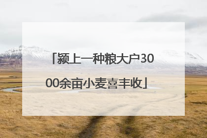 颍上一种粮大户3000余亩小麦喜丰收