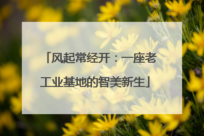 风起常经开：一座老工业基地的智美新生