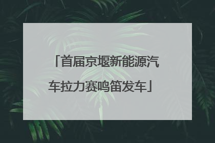 首届京堰新能源汽车拉力赛鸣笛发车