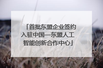首批东盟企业签约入驻中国—东盟人工智能创新合作中心