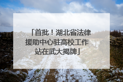 首批！湖北省法律援助中心驻高校工作站在武大揭牌