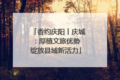 香约庆阳丨庆城：厚植文旅优势 绽放县域新活力