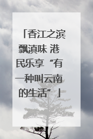 香江之滨飘滇味 港民乐享“有一种叫云南的生活”