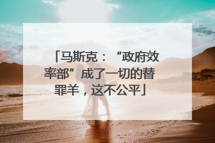 马斯克：“政府效率部”成了一切的替罪羊，这不公平