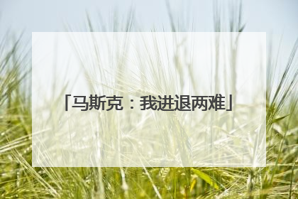 马斯克：我进退两难