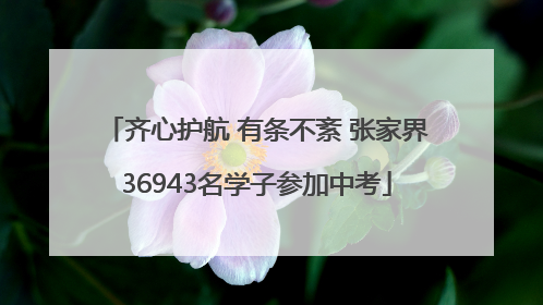 齐心护航 有条不紊 张家界36943名学子参加中考