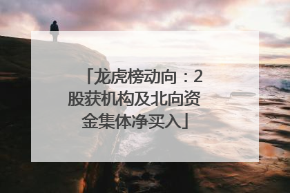 龙虎榜动向：2股获机构及北向资金集体净买入