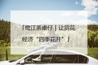 鹭江茶桌仔｜让赏花经济“四季花开”