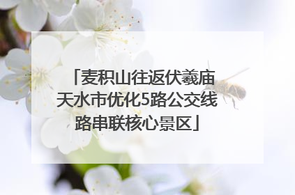 麦积山往返伏羲庙 天水市优化5路公交线路串联核心景区