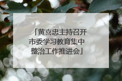 黄喜忠主持召开市委学习教育集中整治工作推进会