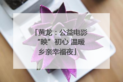 黄龙：公益电影“映”初心 温暖乡亲幸福夜