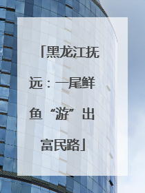 黑龙江抚远：一尾鲜鱼“游”出富民路