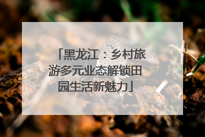 黑龙江：乡村旅游多元业态解锁田园生活新魅力