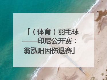 （体育）羽毛球——印尼公开赛：翁泓阳因伤退赛