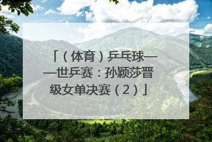 （体育）乒乓球——世乒赛：孙颖莎晋级女单决赛（2）
