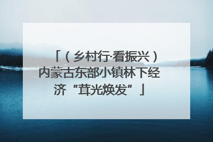 （乡村行·看振兴）内蒙古东部小镇林下经济“茸光焕发”